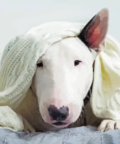 Sleepy Bull Terrier Diamond Painting