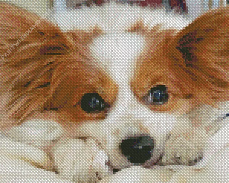 sleepy Papillon dog Diamond Paints Sleepy Papillon Dog Diamond Painting