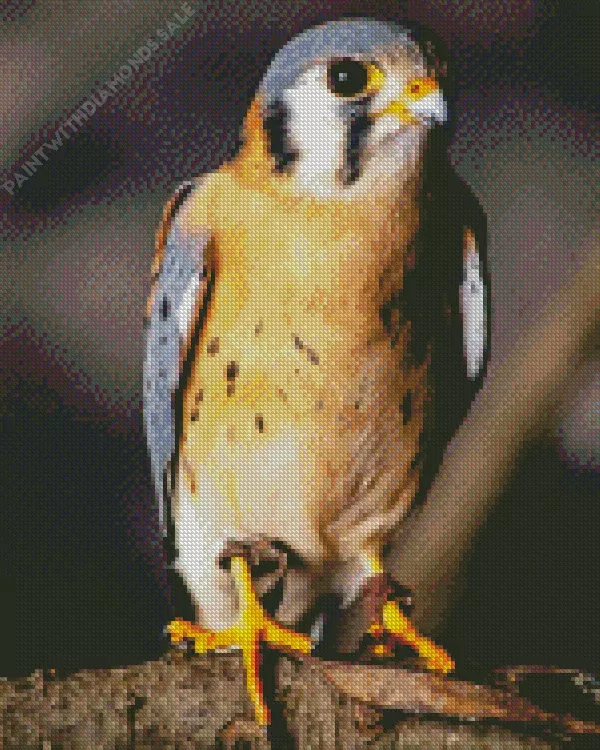 small American Kestrel bird Diamond Paints Small American Kestrel Bird Diamond Painting