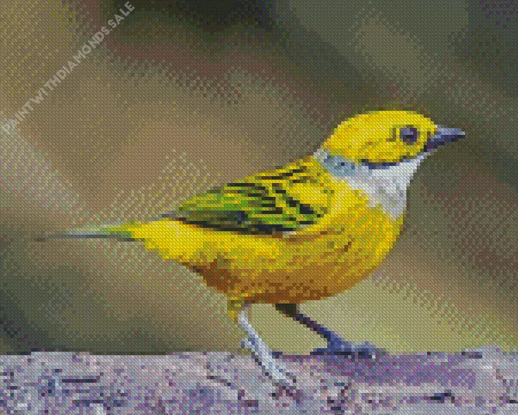 small Silver Throated Tanager bird Diamond Dotz Small Silver Throated Tanager Bird Diamond Painting