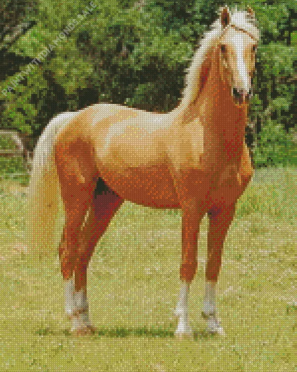 strong Palomino horse Diamond By Numbers Strong Palomino Horse Diamond Painting