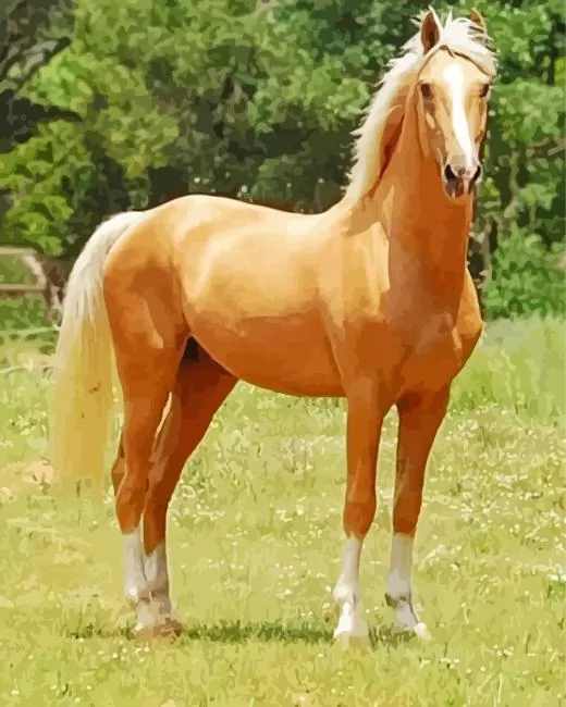 strong Palomino horse Diamond Paintings Strong Palomino Horse Diamond Painting