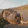 The Komodo Dragon Diamond Painting