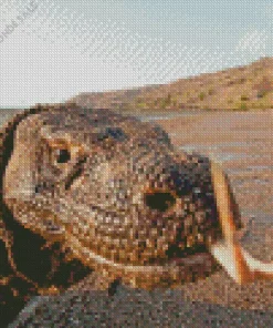 The Komodo Dragon Diamond Painting