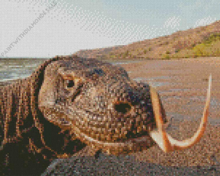the komodo dragon Diamond By Numbers The Komodo Dragon Diamond Painting