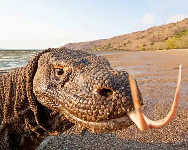 the komodo dragon Diamond Paintings The Komodo Dragon Diamond Painting