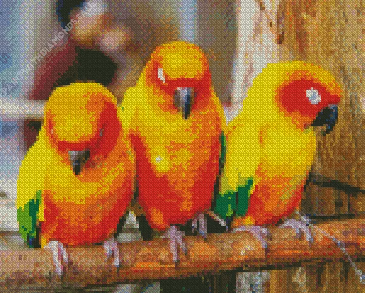 three cute Conure Birds Diamond By Numbers Three Cute Conure Birds Diamond Painting