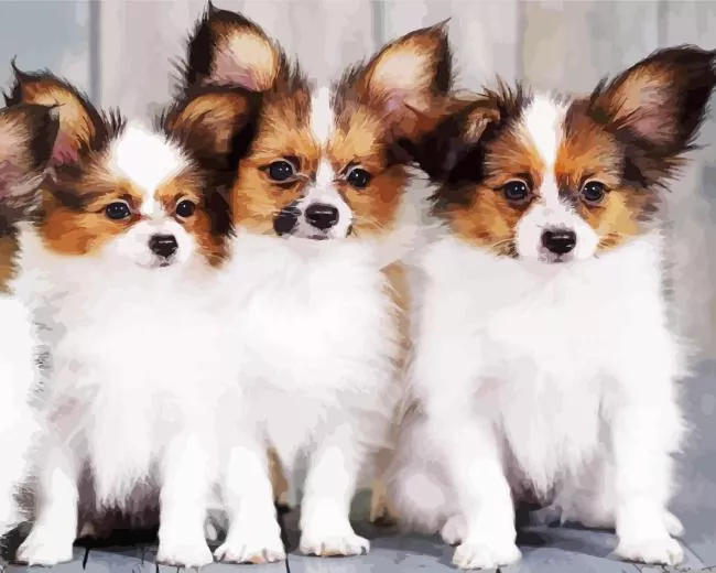 three cute Papillon dogs Diamond By Numbers Three Cute Papillon Dogs Diamond Painting
