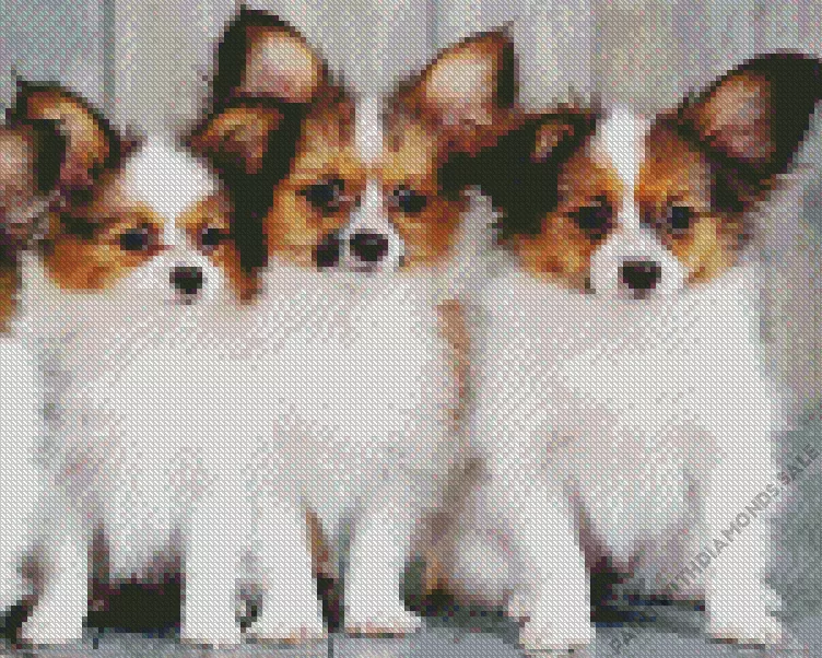 three cute Papillon dogs Diamond Paints Three Cute Papillon Dogs Diamond Painting