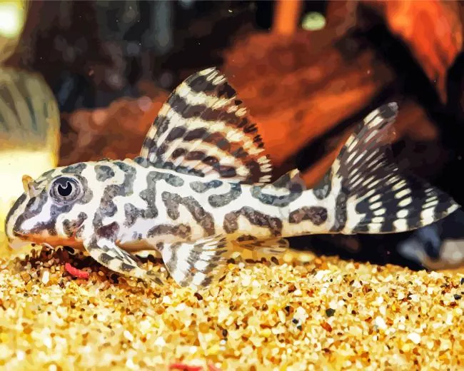tiger Pleco Fish Diamond Paints Tiger Pleco Fish Diamond Painting