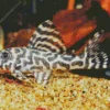 Tiger Pleco Fish Diamond Painting
