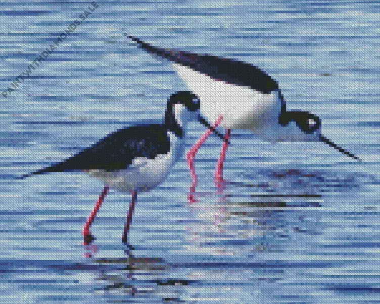 two Black Necked Stilt birds Diamond By Numbers Two Black Necked Stilt Birds Diamond Painting