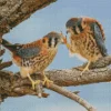 Two Cute American Kestrel Birds Diamond Painting