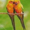 Two Cute Conure Birds Diamond Painting