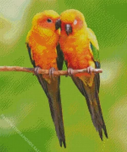 Two Cute Conure Birds Diamond Painting