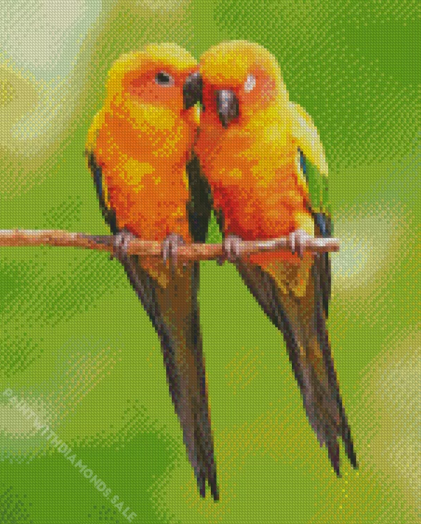 two cute Conure Birds Diamond By Numbers Two Cute Conure Birds Diamond Painting