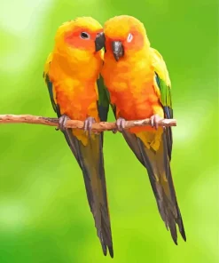 Two Cute Conure Birds Diamond Painting