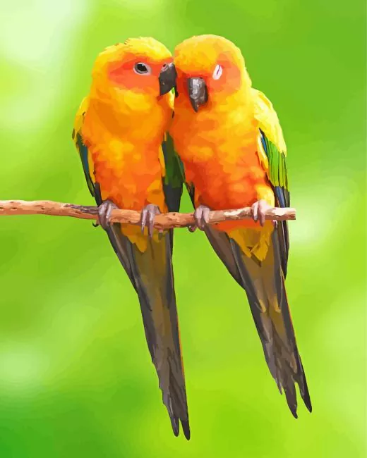 two cute Conure Birds Diamond Paints Two Cute Conure Birds Diamond Painting