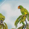 Two Cute White Fronted Amazon Diamond Painting