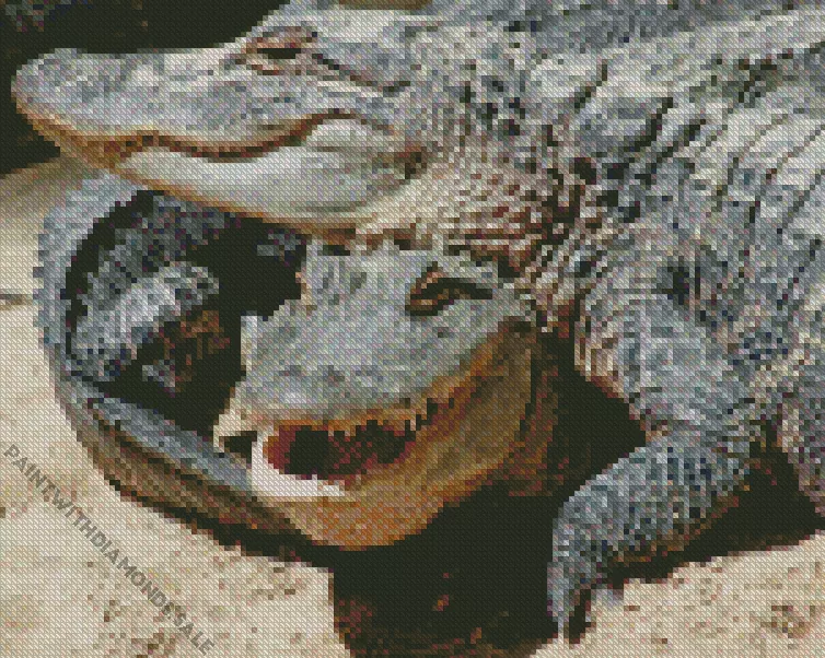 two wild Alligators Diamond By Numbers Two Wild Alligators Diamond Painting