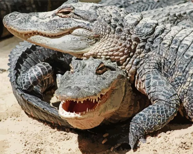 two wild Alligators Diamond Paintings Two Wild Alligators Diamond Painting
