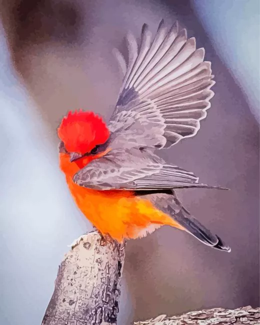 vermillion flycatcher flying Diamond Paints Vermillion Flycatcher Flying Diamond Painting
