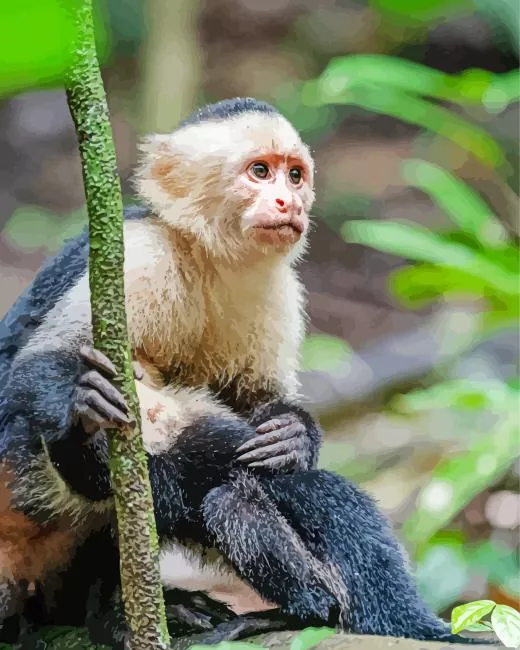 watchful capuchin monkey Diamond Paintings Watchful Capuchin Monkey Diamond Painting
