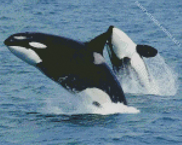 whales orcas Diamond Paintings Whales Orcas Diamond Painting