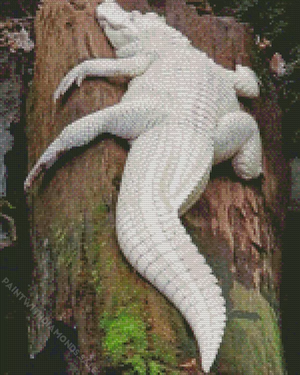 white Alligator Diamond By Numbers White Alligator Diamond Painting