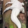 White Alligator Diamond Painting