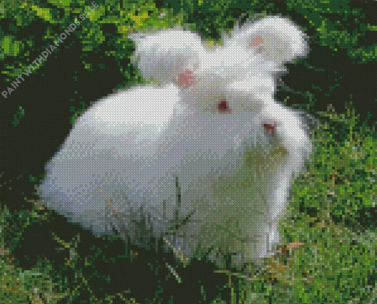 white Angora rabbit Diamond By Numbers White Angora Rabbit Diamond Painting