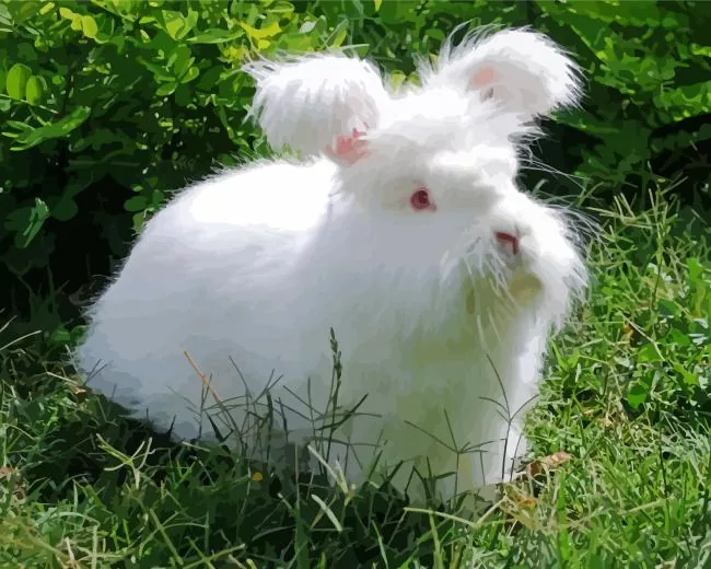 white Angora rabbit Diamond Paintings White Angora Rabbit Diamond Painting