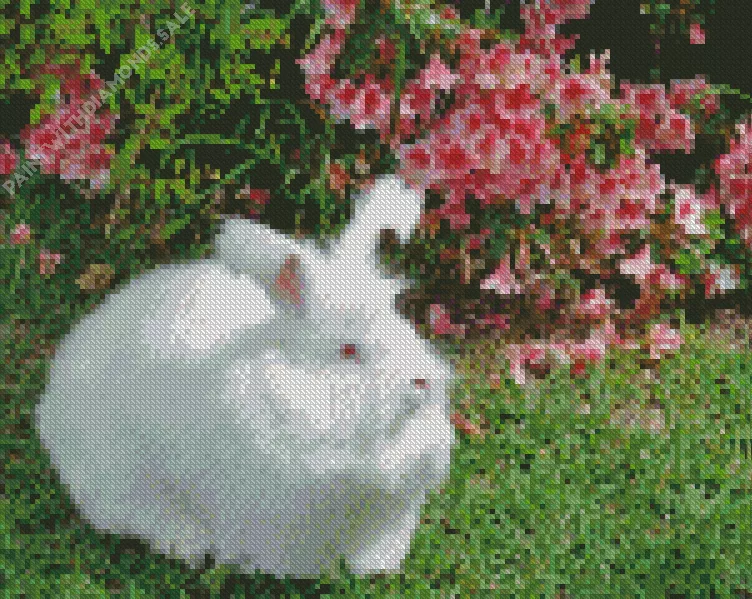 white Angora rabbit art Diamond By Numbers white Angora rabbit art Diamond Paintings