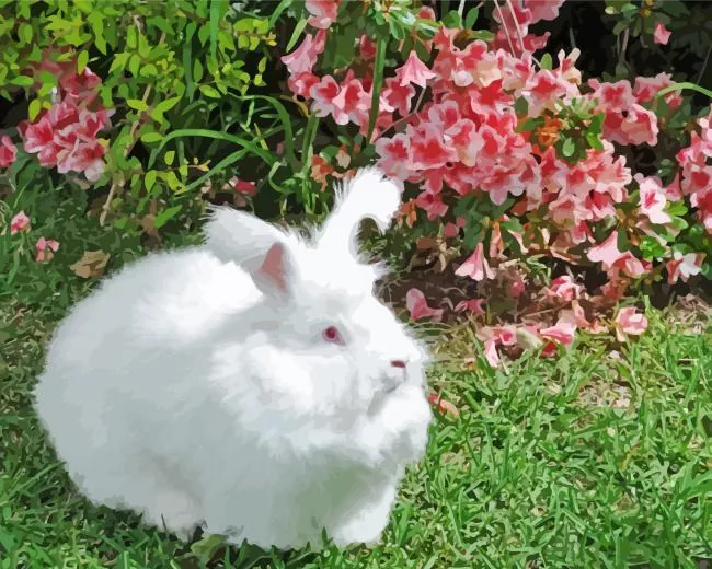 white Angora rabbit art Diamond Paintings white Angora rabbit art Diamond Paintings