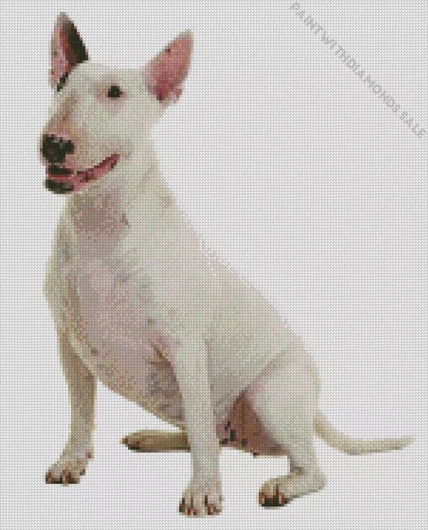 white Bull Terrier Diamond By Numbers White Bull Terrier Diamond Painting