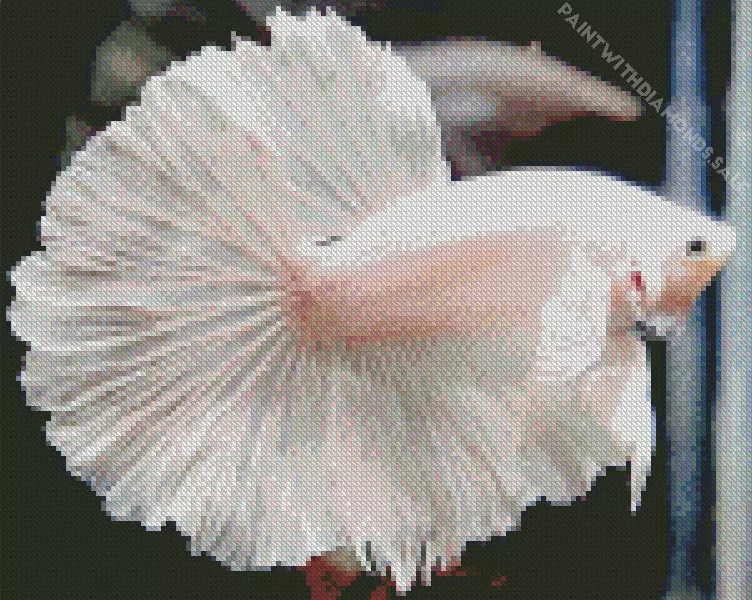 white Siamese fighting fish Diamond Paintings White Siamese Fighting Fish Diamond Painting