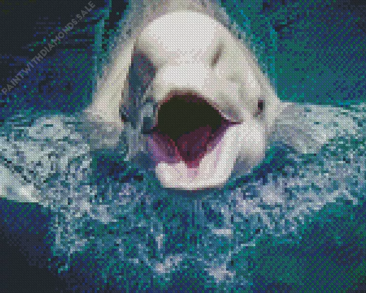 white Whale Diamond Paintings White Whale Diamond Painting