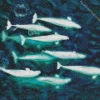 White Whales Diamond Painting