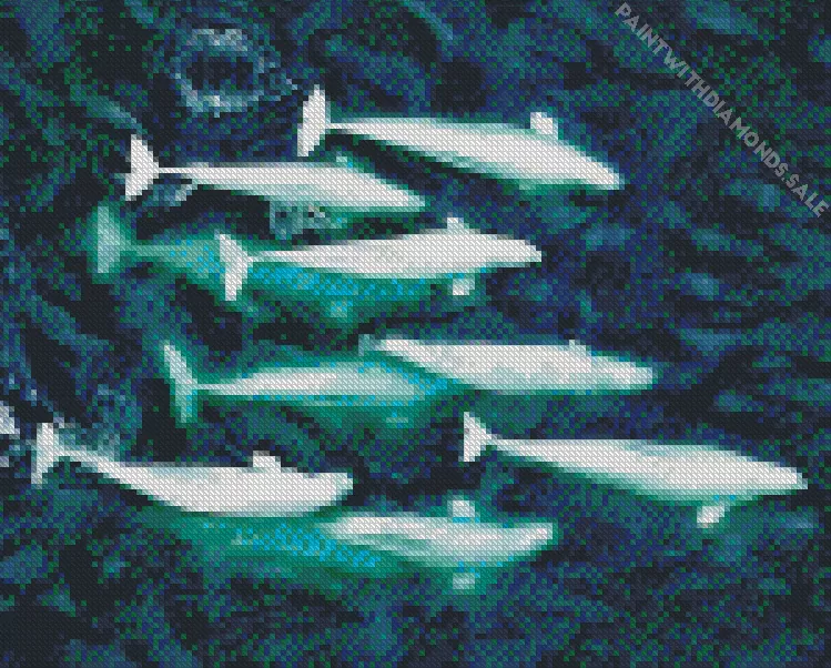 white Whales Diamond Paintings White Whales Diamond Painting