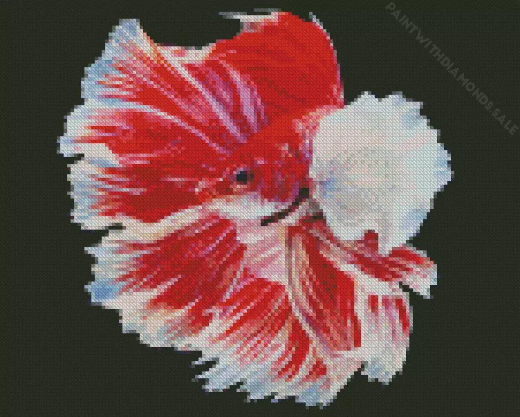 white and red betta fish Diamond Paintings White And Red Betta Fish Diamond Painting