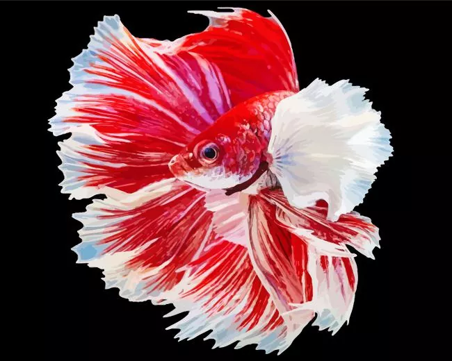 white and red betta fish Diamond With Numbers White And Red Betta Fish Diamond Painting
