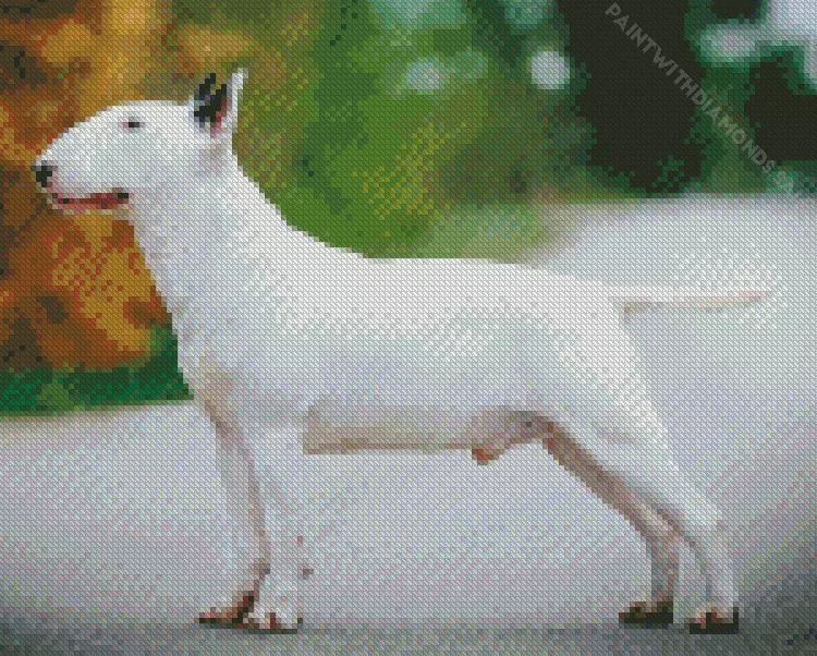 white bull terrier dog Diamond By Numbers White Bull Terrier Dog Diamond Painting
