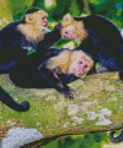 White Faced Capuchin Monkey Family Diamond Painting