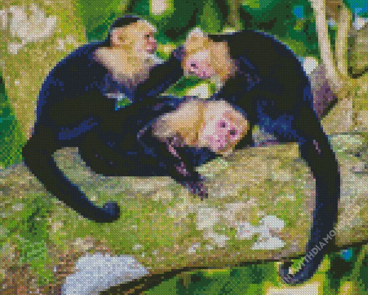 white faced capuchin monkey family Diamond By Numbers White Faced Capuchin Monkey Family Diamond Painting
