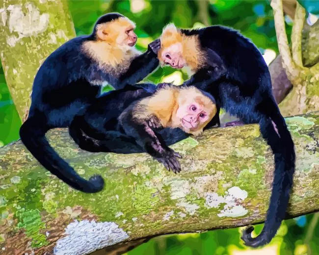 white faced capuchin monkey family Diamond Paintings White Faced Capuchin Monkey Family Diamond Painting