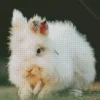 White Rabbit On A Grass Diamond Painting