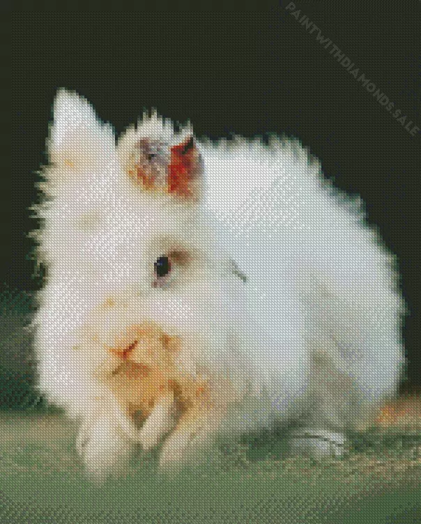 white rabbit on a grass Diamond By Numbers White Rabbit On A Grass Diamond Painting