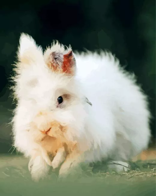 white rabbit on a grass Diamond Paintings White Rabbit On A Grass Diamond Painting