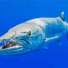 Wild Barracuda Fish Diamond Painting