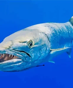 Wild Barracuda Fish Diamond Painting